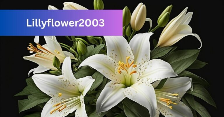 Lillyflower2003