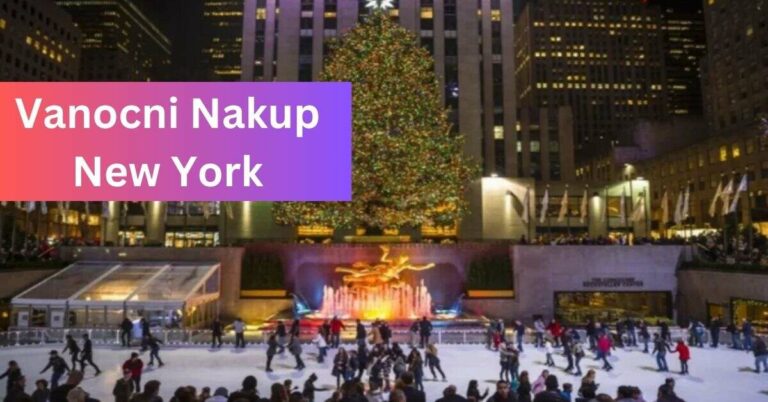 Vanocni Nakup New York