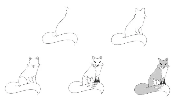 Step-by-Step Guide to Drawing a Fox