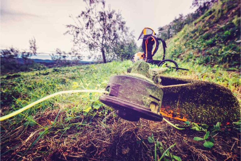 How to Tackle Overgrown Areas with a Weed Wacker Like a Pro