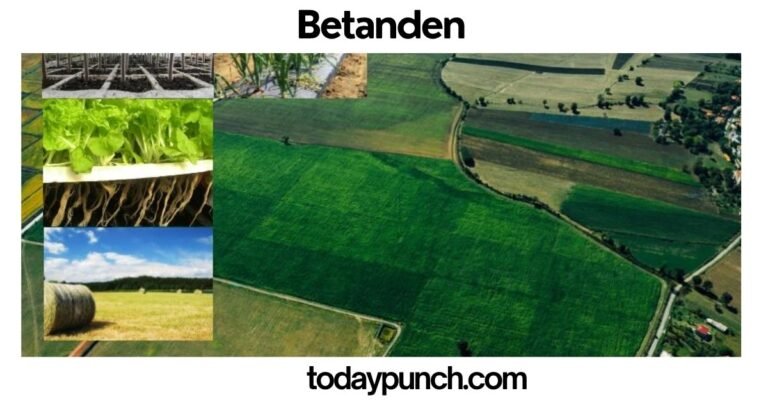 Betanden